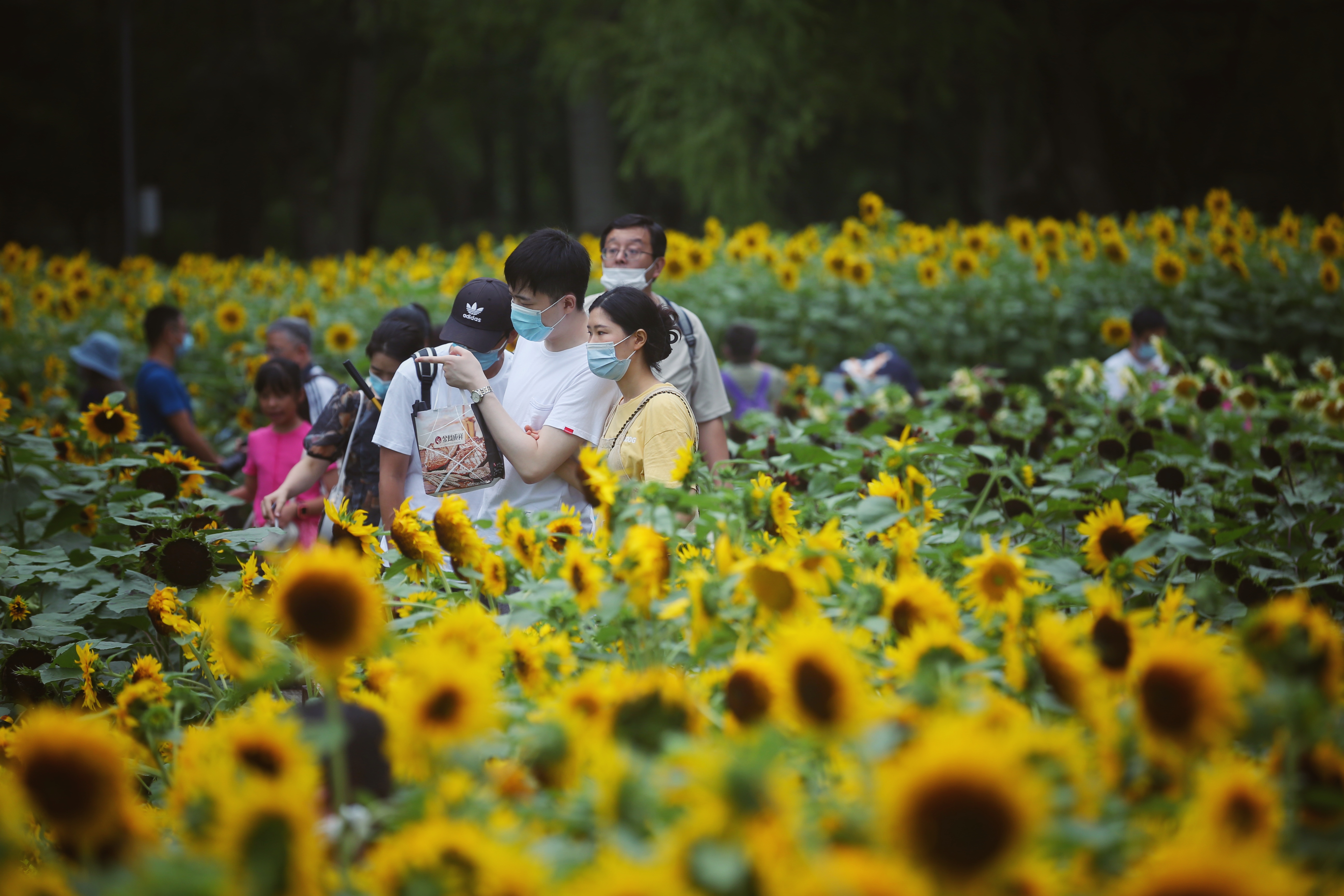 北京的湿地游景点都在这儿了