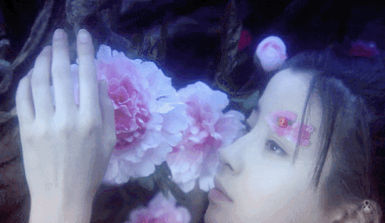 宫泽理惠的《青春牡丹花灯笼》,跟王祖贤的聂小倩迷之相似