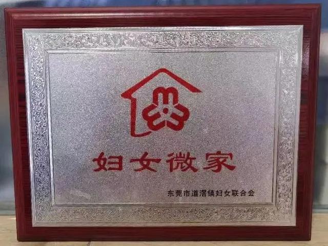 道滘这个"妇女微家"闪亮登场