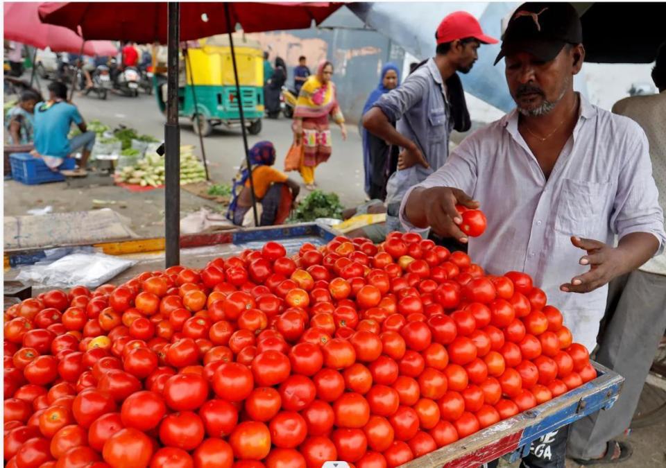 印度民众表示从未见过如此高的西红柿价格