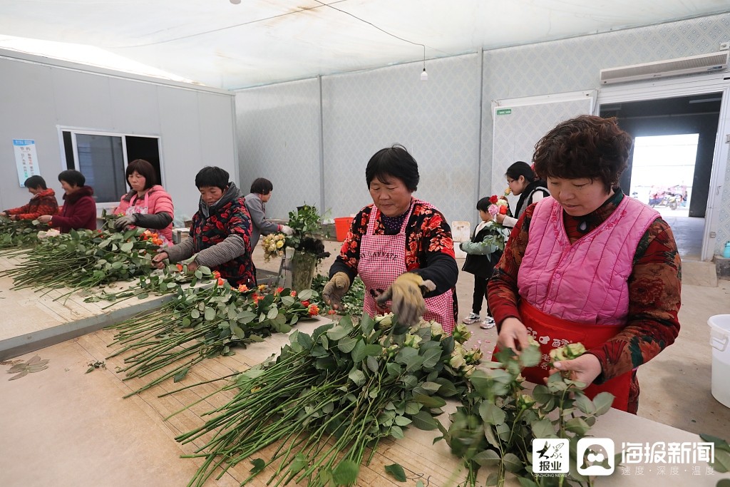 莒县招贤镇:鲜花智能化温室大棚带动村民致富