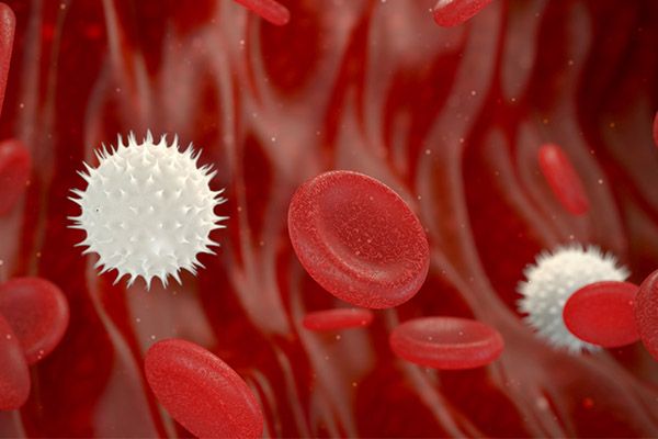 中医史淑荣:白细胞低了怎么办?