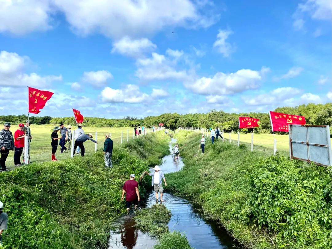 昌洒镇全力推进治水攻坚战