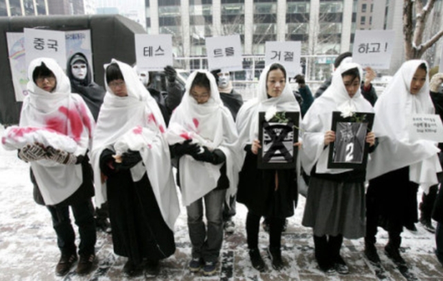 开led卡车游街,青瓦台请愿,韩国玩家怎样成为"维权先锋"?