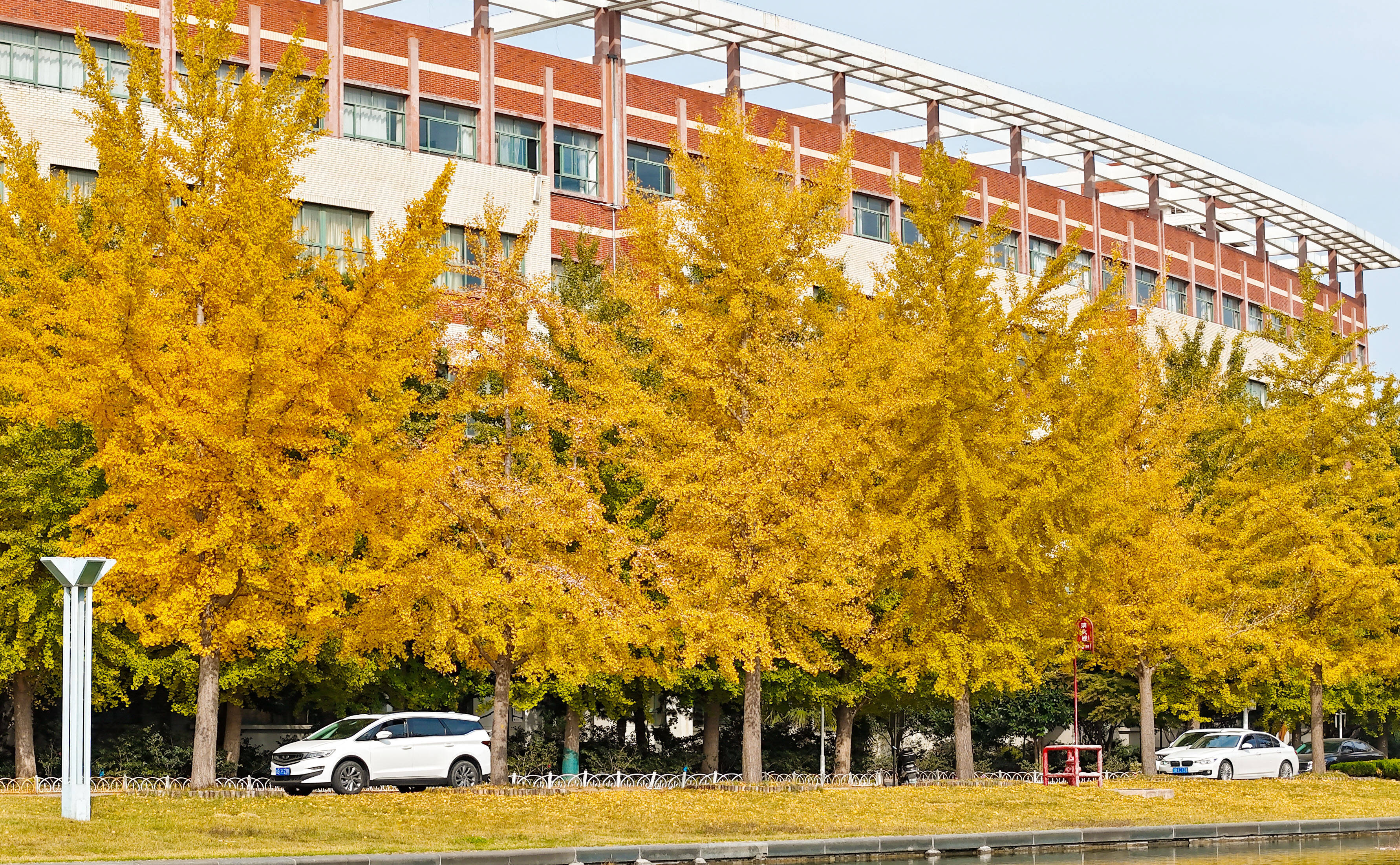 青岛科技大学校园风光图片