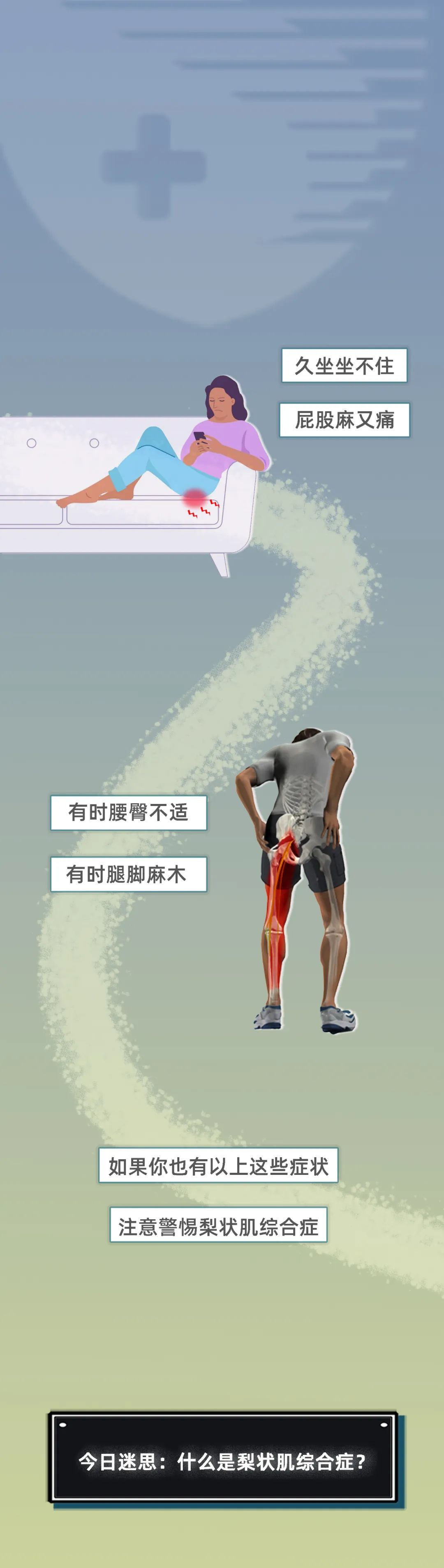 「一图看懂」刺激屁股深处的痛,来自梨状肌?