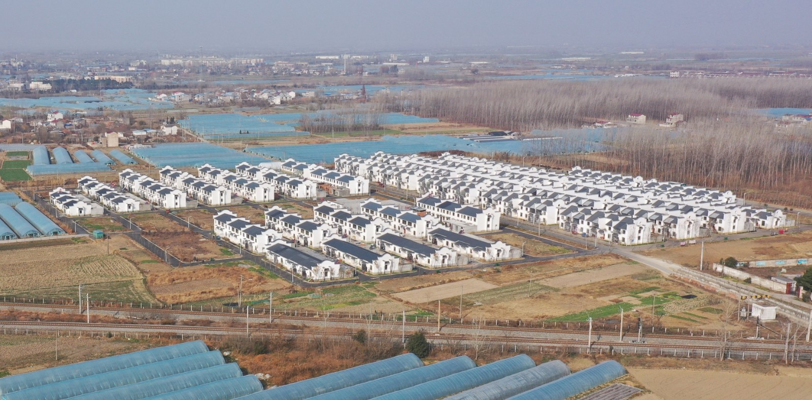 安徽长丰水湖镇:颜湖美丽乡村绘出乡村振兴新画卷