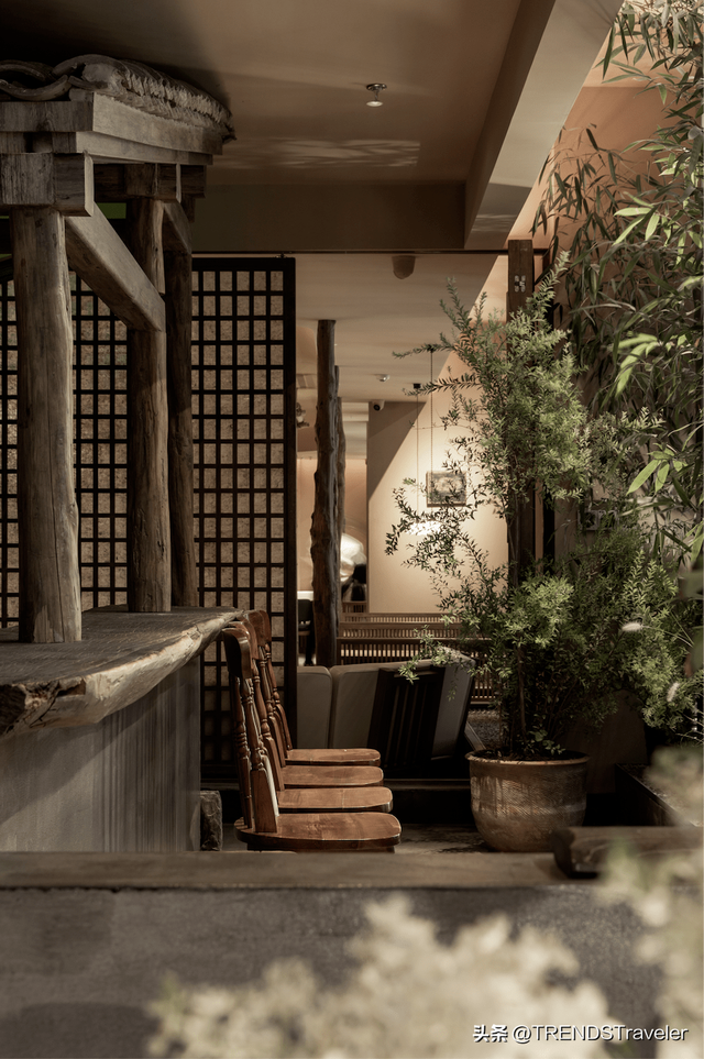 年轻人喜欢走进这些新式茶馆,原来喝茶这么惬意?