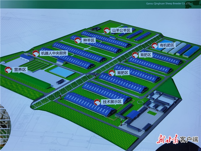 黄土塬勃兴羊产业—甘肃庆环公司力促环县羊业高质量发展侧记