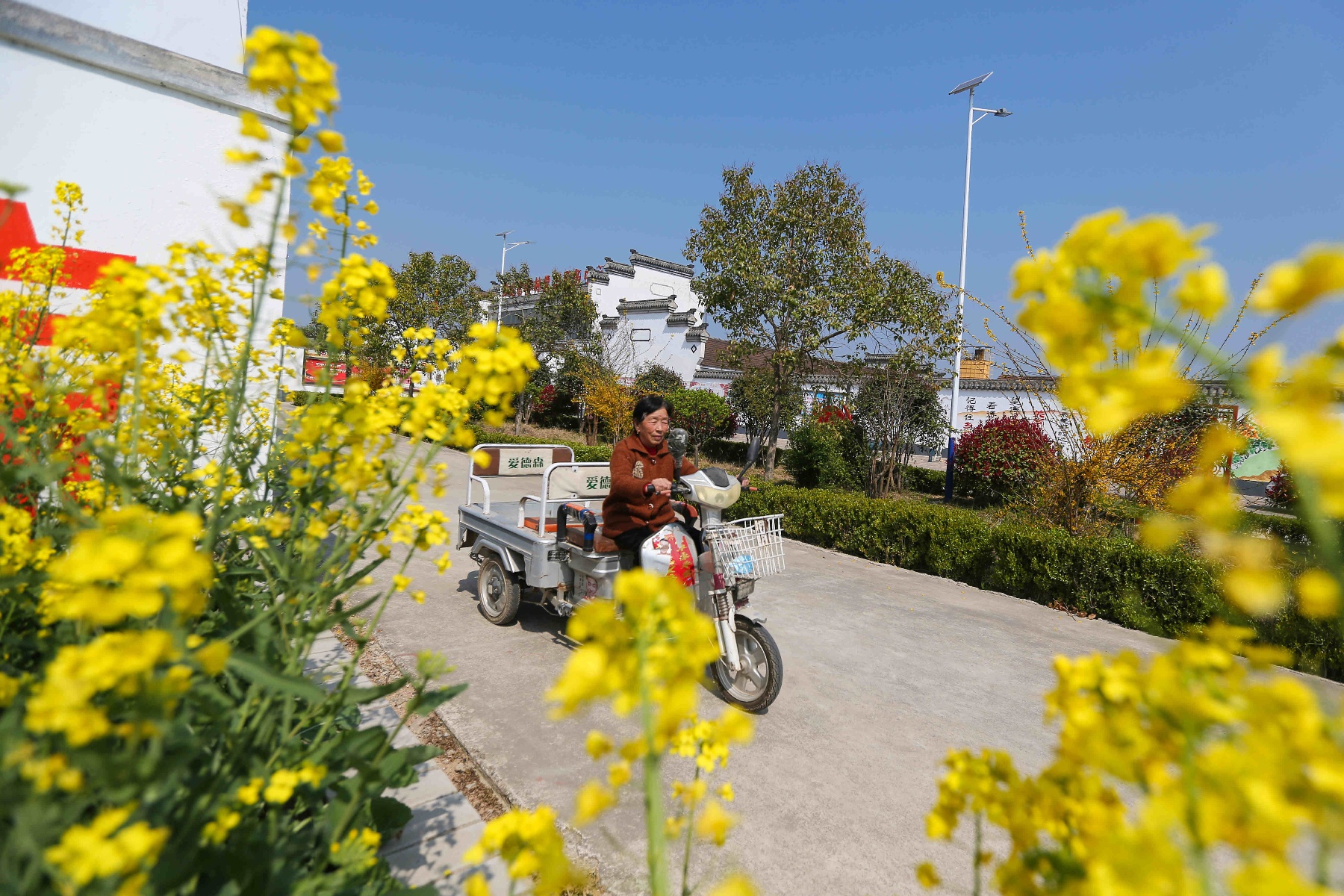 夏邑县会亭镇:改善人居环境 扮靓美丽乡村