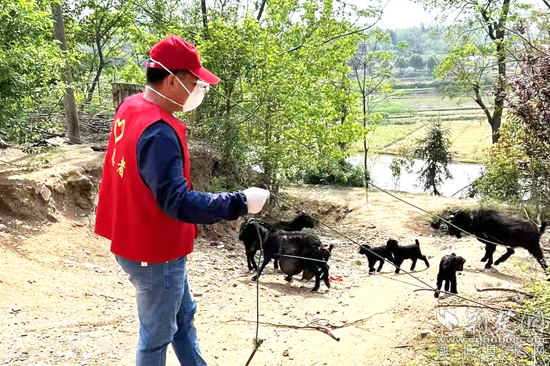 麻城周坳村包保工作队"土味"喊话疫情防控