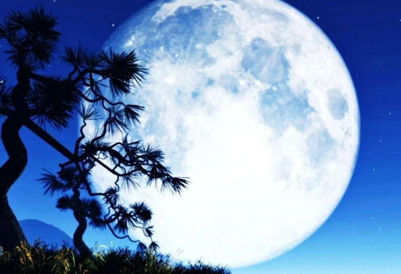 共赏一轮明月的唯美句子