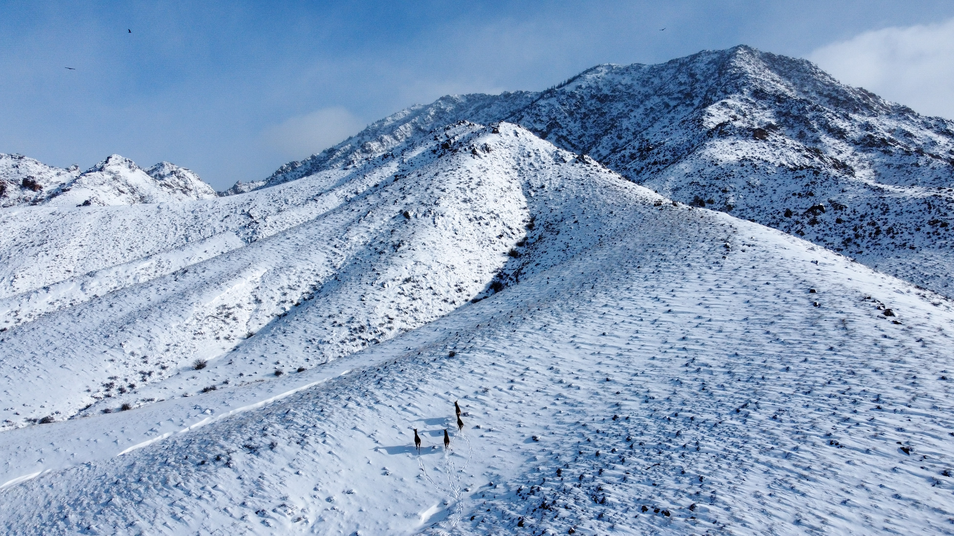 银川贺兰山雪景图片