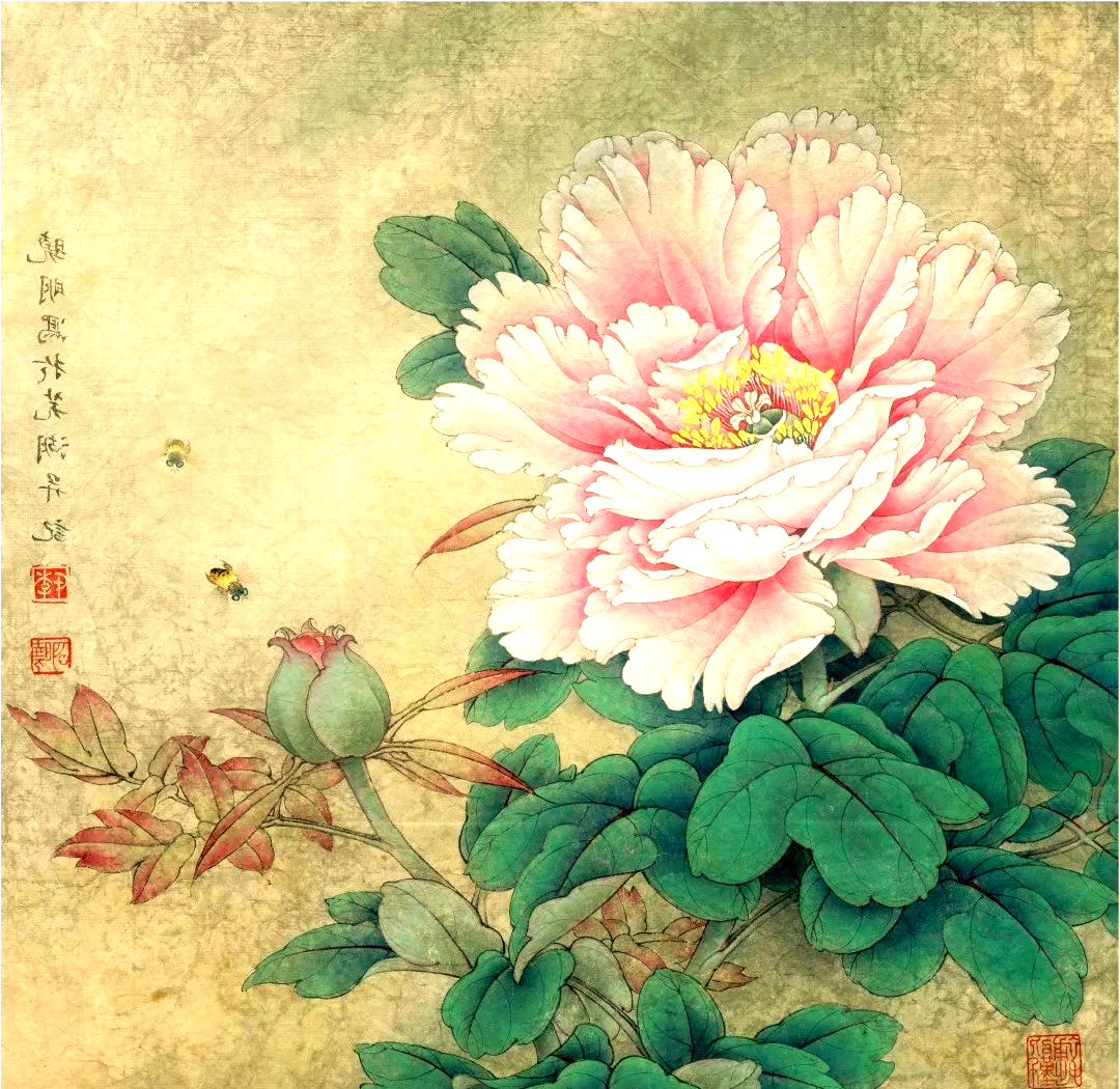 李晓明工笔牡丹《赛珠盘》绘制方法,立体感十足!