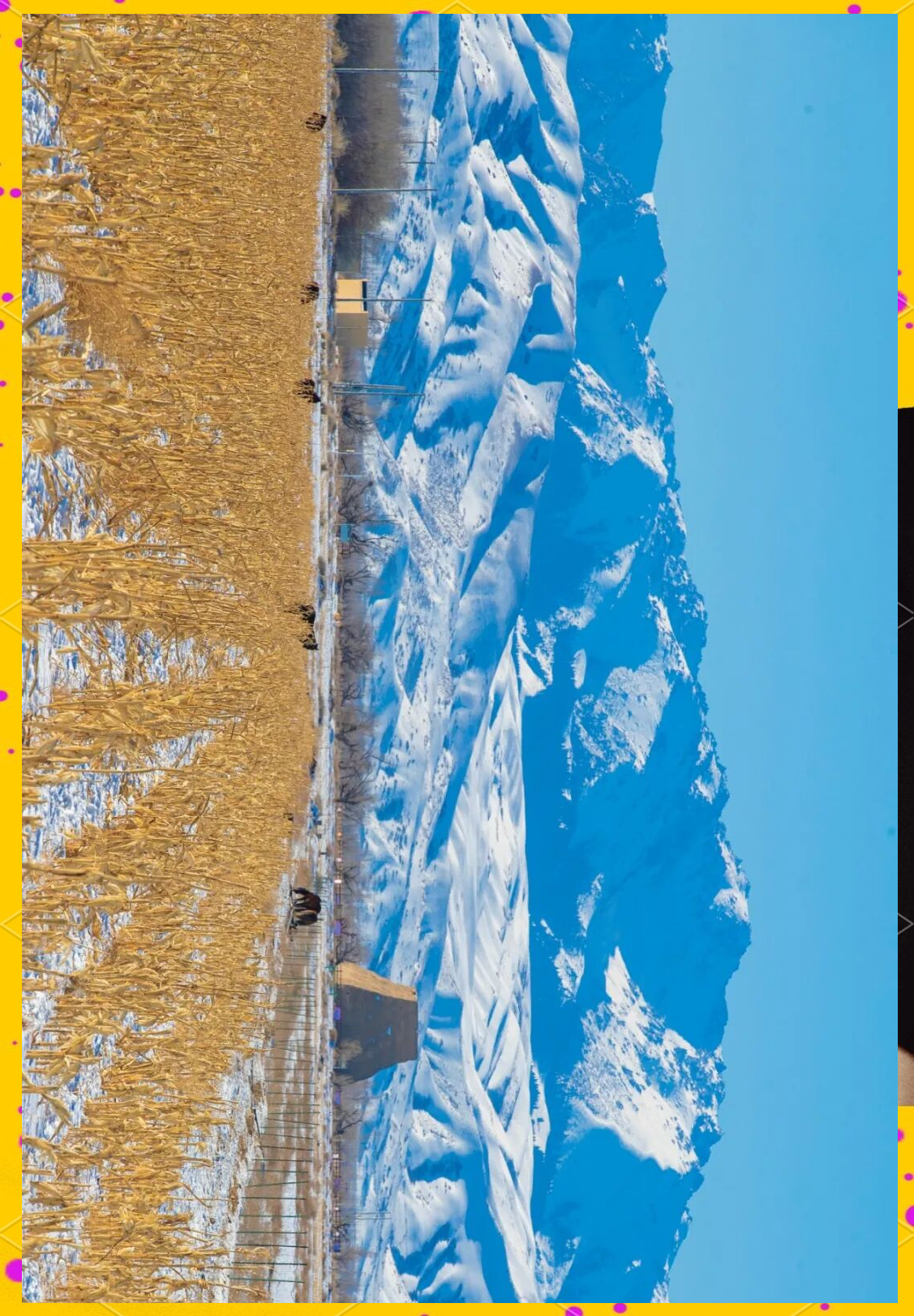 冬日西山农牧场:阳光,美景与田园生活