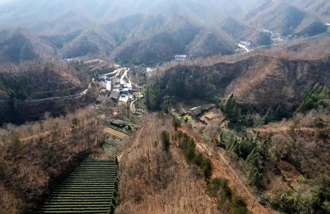 康县龙神沟这个地方藏着一个红豆谷一线天,雄奇险峻,飞流悬泉