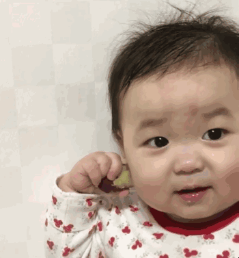 即日起,开始预约!