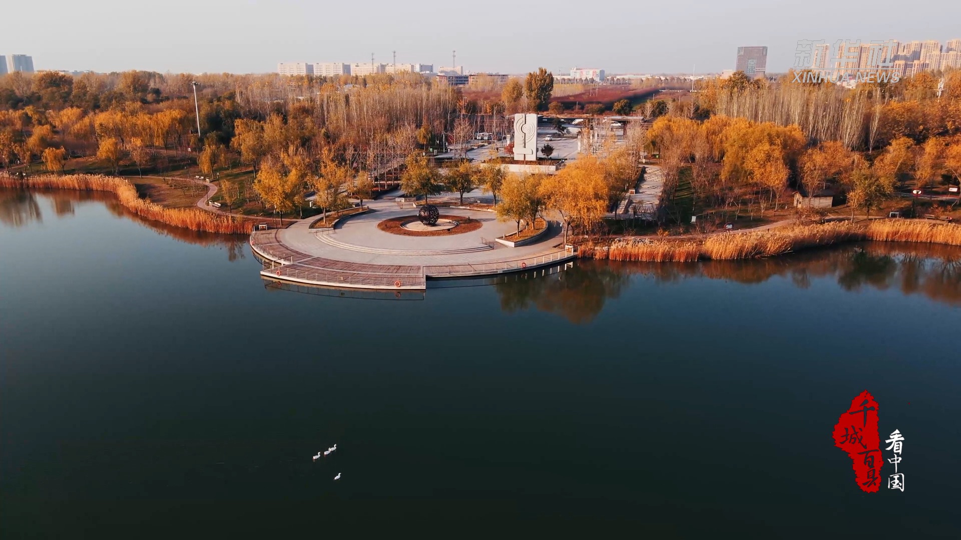 千城百县看中国|河北高碑店:公园冬韵