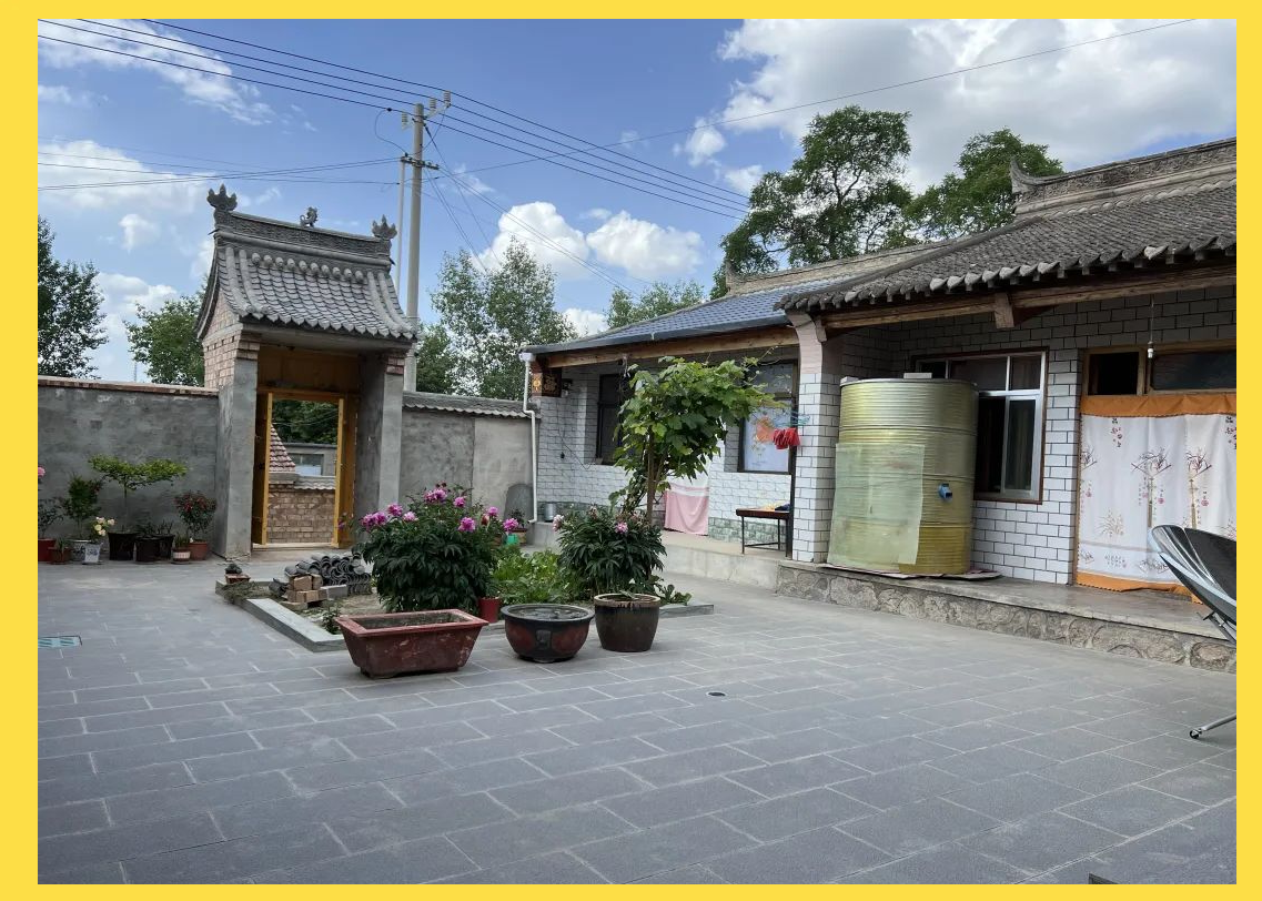 陇阳镇"美丽庭院"示范户风采展播,展现乡村新颜值