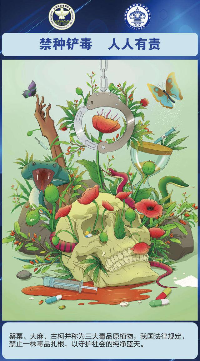 云南首个禁毒插画展今日在20所学校连展