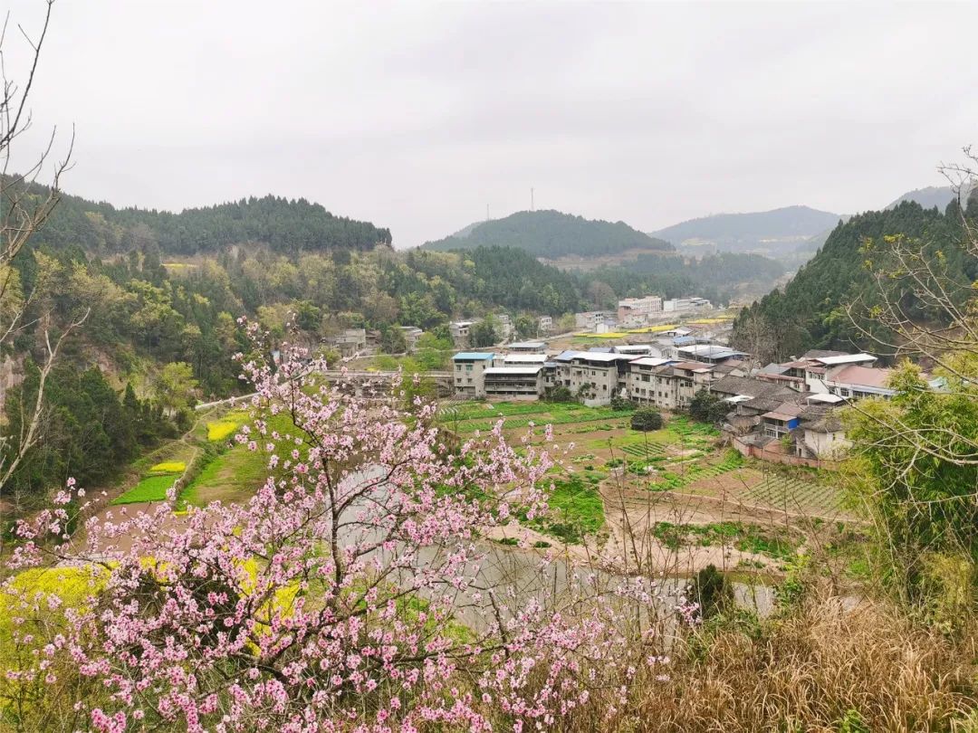 百名记者进百村