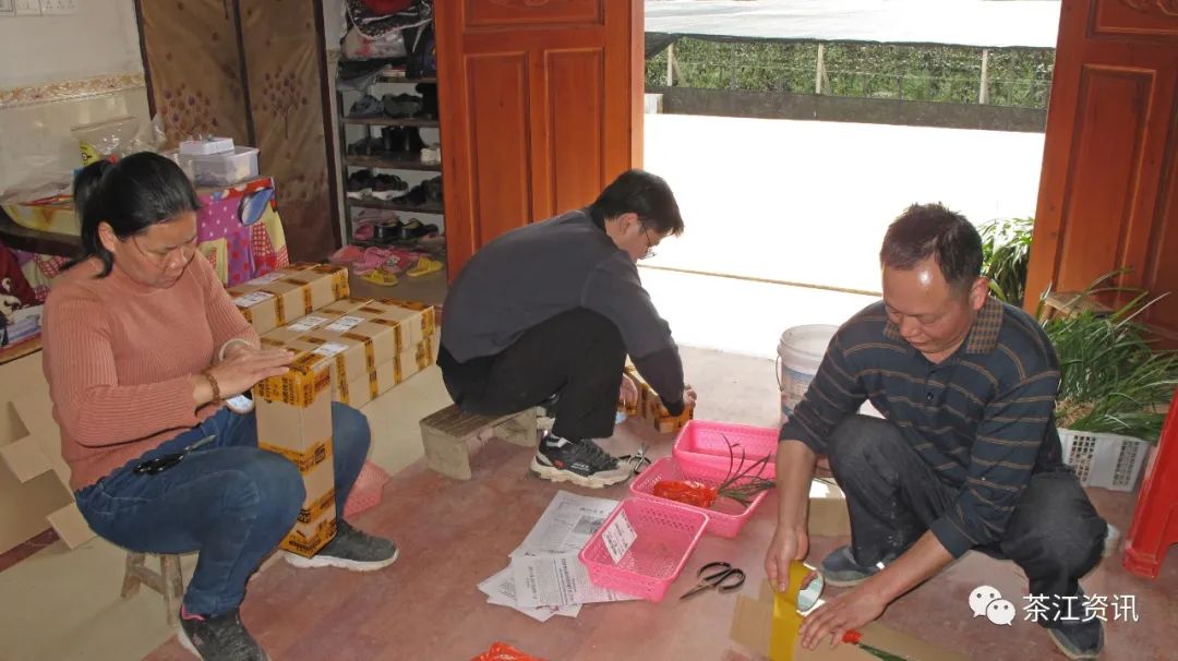 「资讯人物」恭城江春华:兰花"贤内助"组甲"急先锋"