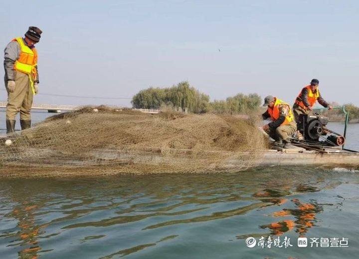 日照水库桃花鱼图片