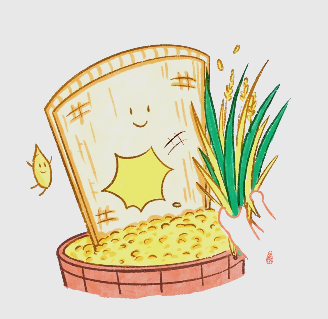 水稻生长全攻略:从播种到收割的艰辛历程