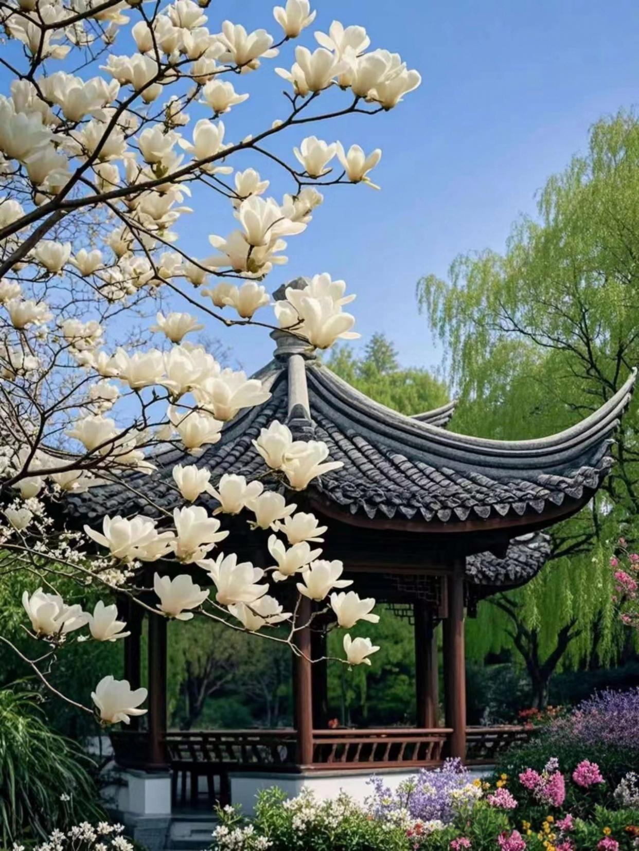 退休旅居新玩法科学规划全年候鸟地图四种高阶模式让你潇洒走天下