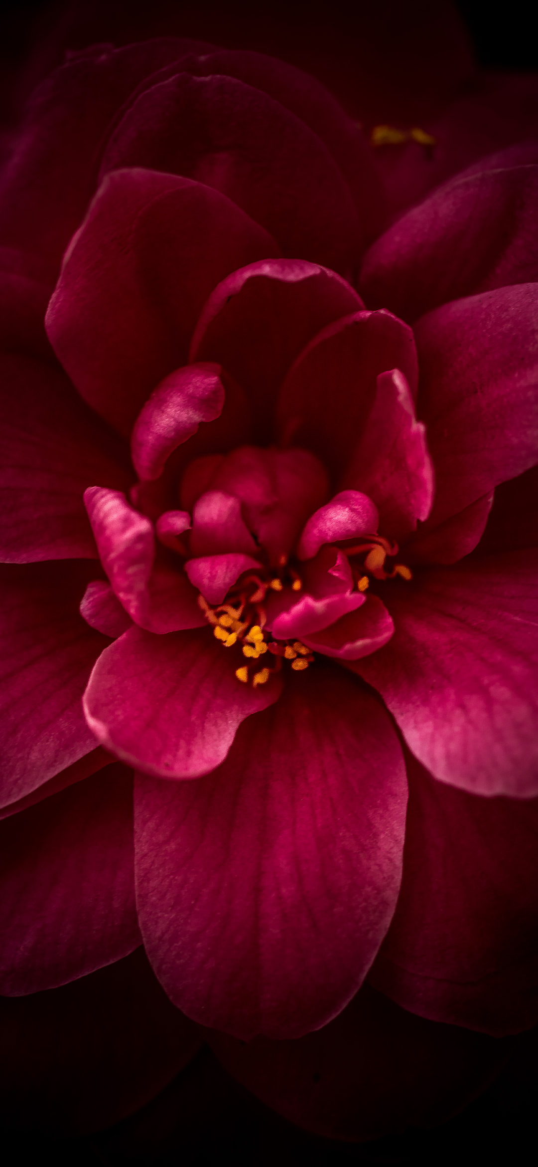 内置壁纸系列:中国移动先行者x1内置壁纸(1)