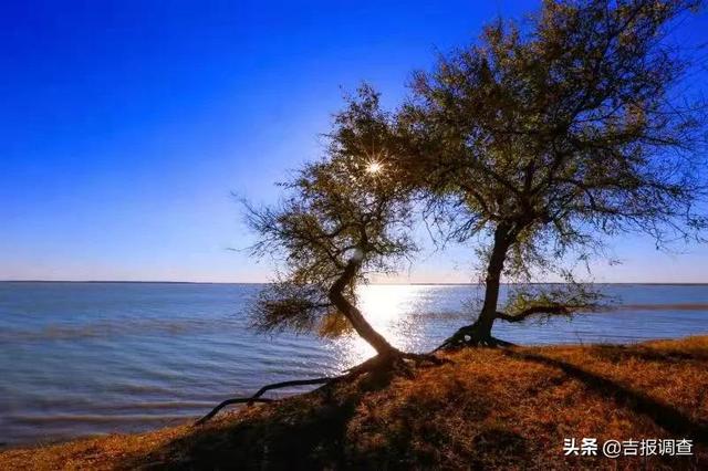 走進洮南市安定鎮四海湖畔,盡情享受魚米之鄉的溼地風光