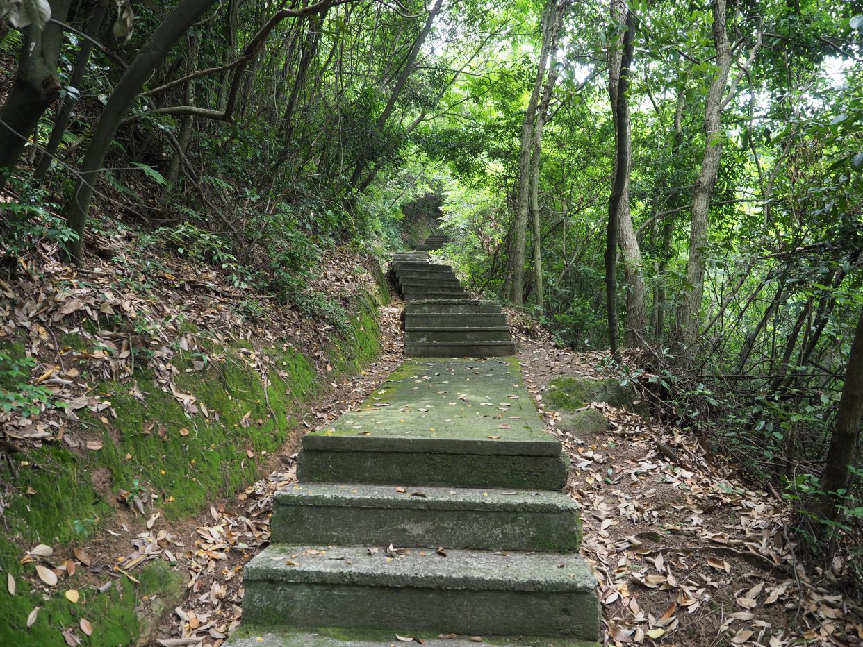 杭州小众景点—临安篇之西径山