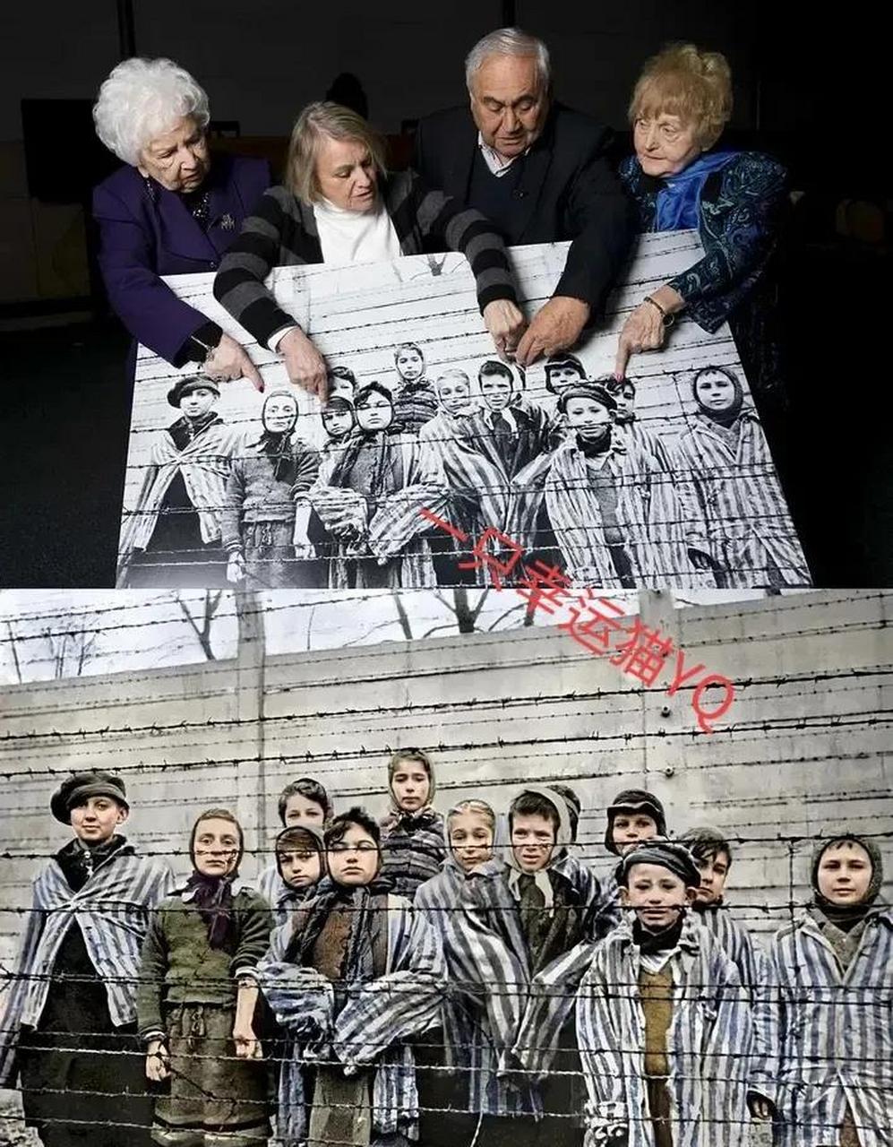 这是奥斯维辛集中营解放70周年,幸存者与老照片的合影,并指着相中的
