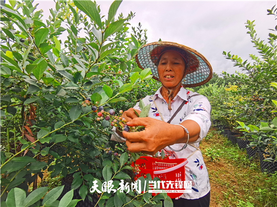 实现"双超—黔东南州村级集体经济发展势头正旺