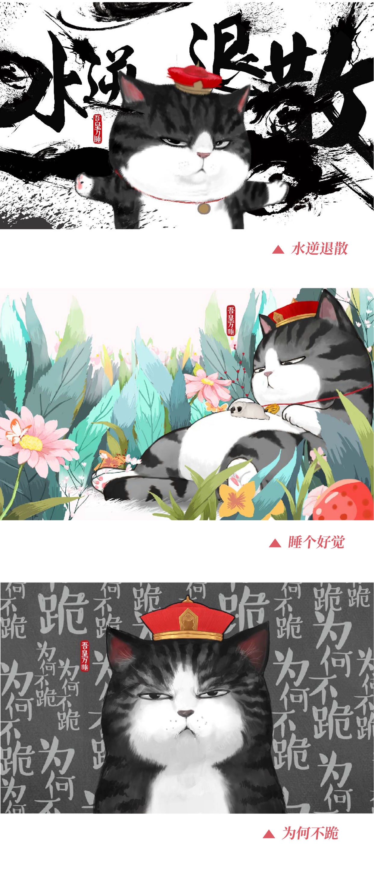 吾皇万睡,上海公共交通卡联手上线高萌虚拟公交卡面