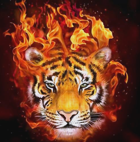 火老虎:一种独具特色的民间舞蹈形式