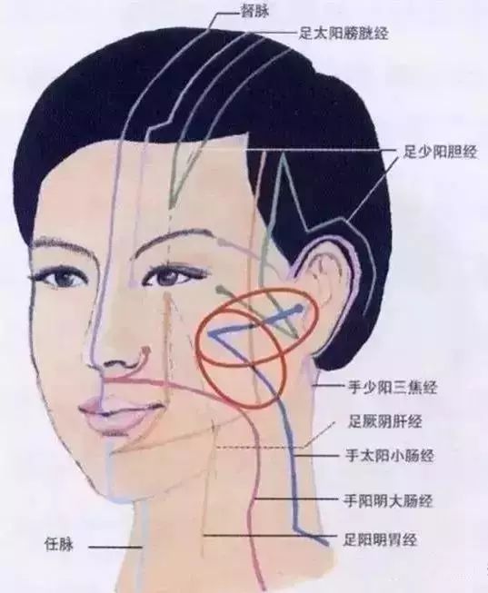 这样拍拍脸等于疏通9条经络,能瘦脸还能变年轻