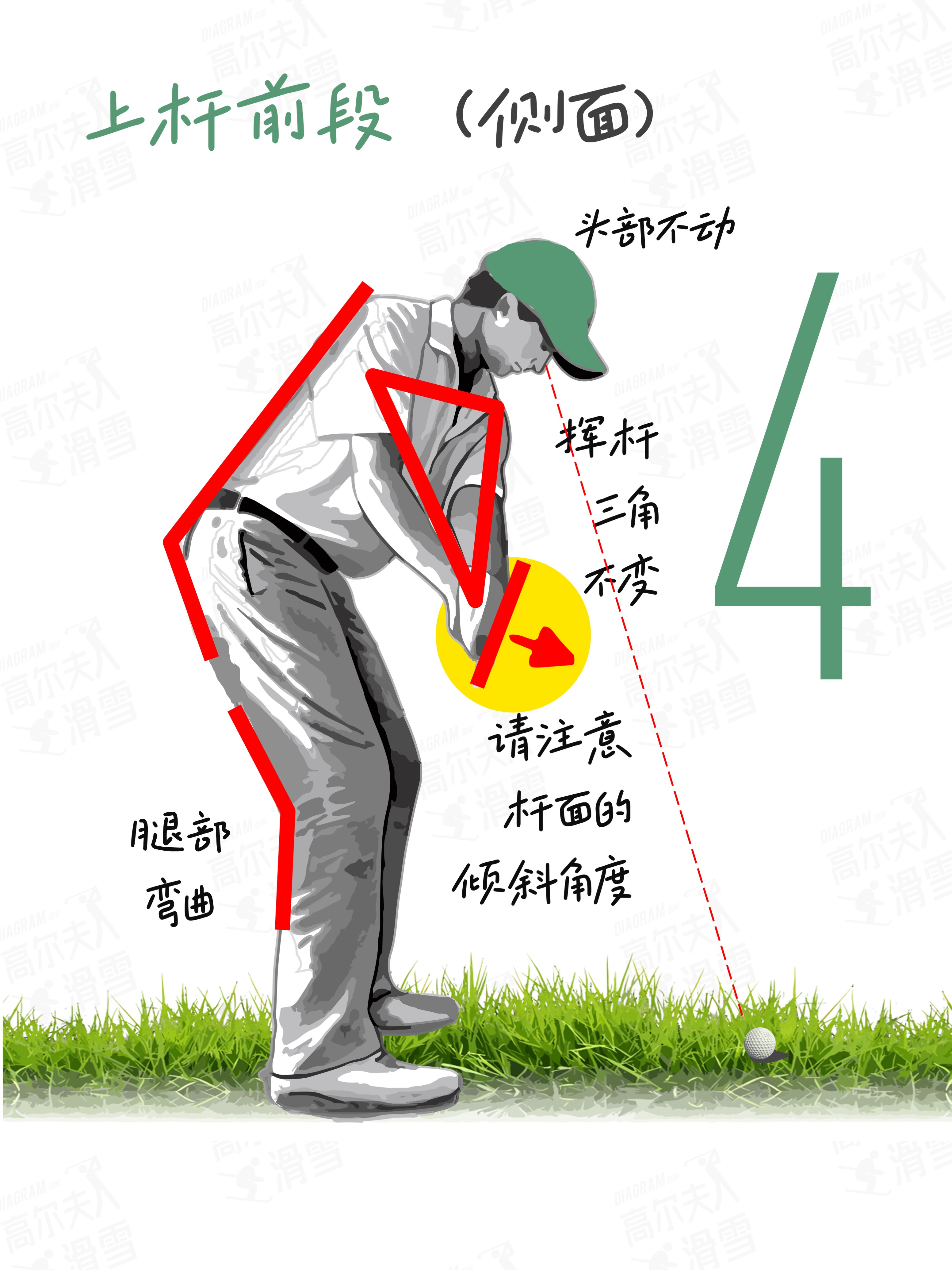 高尔夫动作要领分解图图片