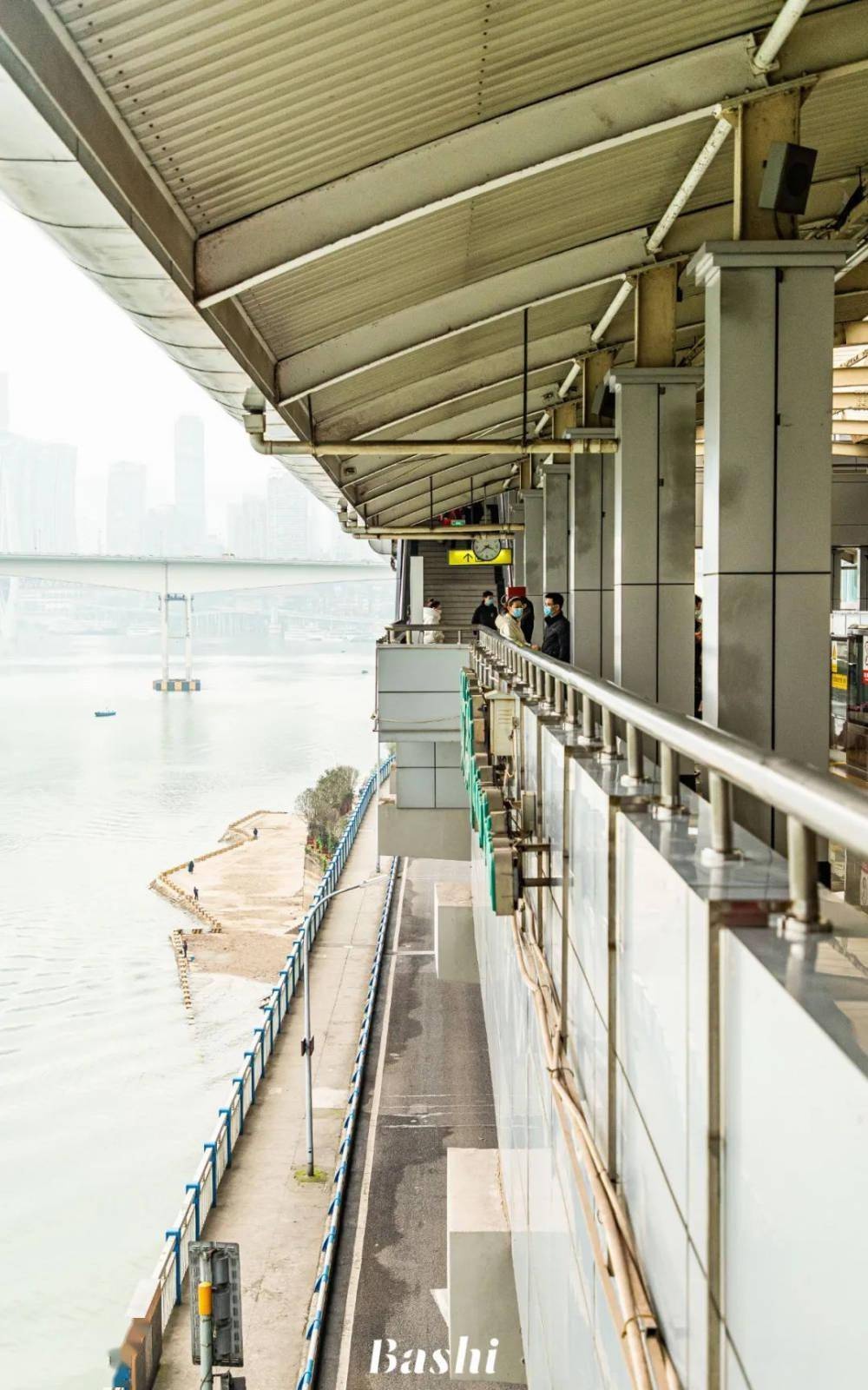 2小时,5公里,嘉滨路"看海"!