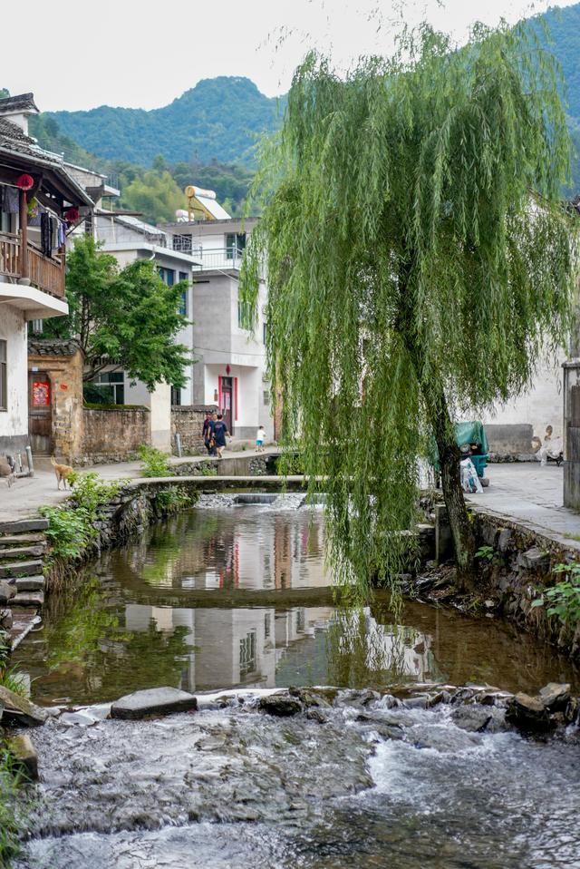 有着500多户人家的芹川古村,藏在千岛湖边不收门票,周末必去