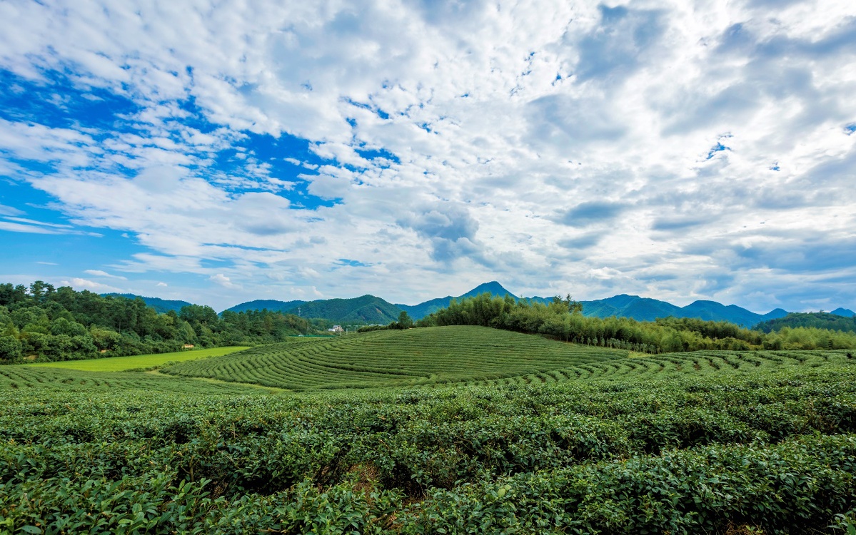 桐柏风景图片图片