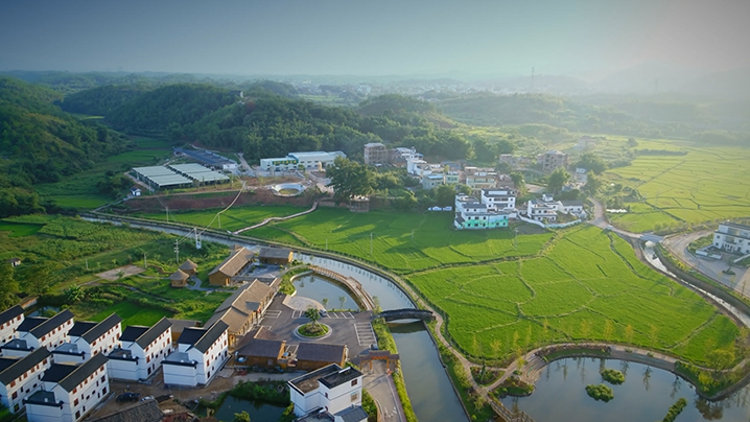 年味浓,人气足,消费旺 春节期间广东共接待游客7606.9万人次