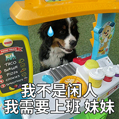 表情合集┃妹妹,我不是闲人,我需要工作!