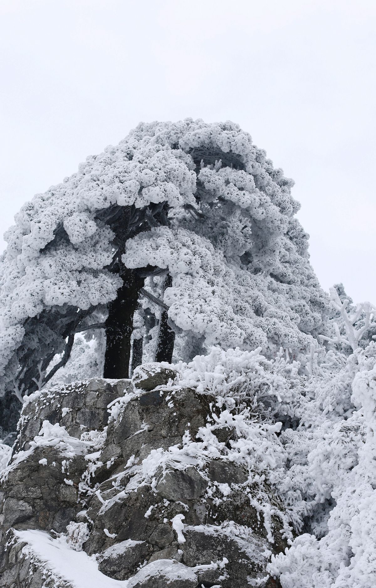 鏡花水月:我和衡山更美的雪景不期而遇