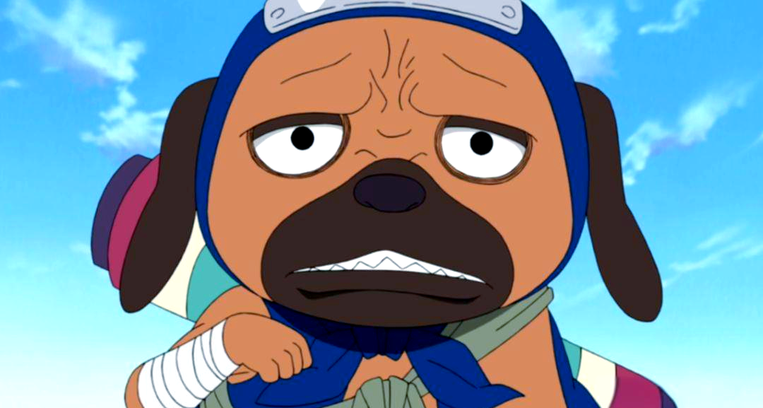 忍界中那些可爱的通灵兽,帕克在列,最后一只差点害死雏田