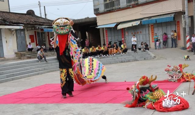 走读汕尾①|陆丰市西南镇:青塘盖仔狮
