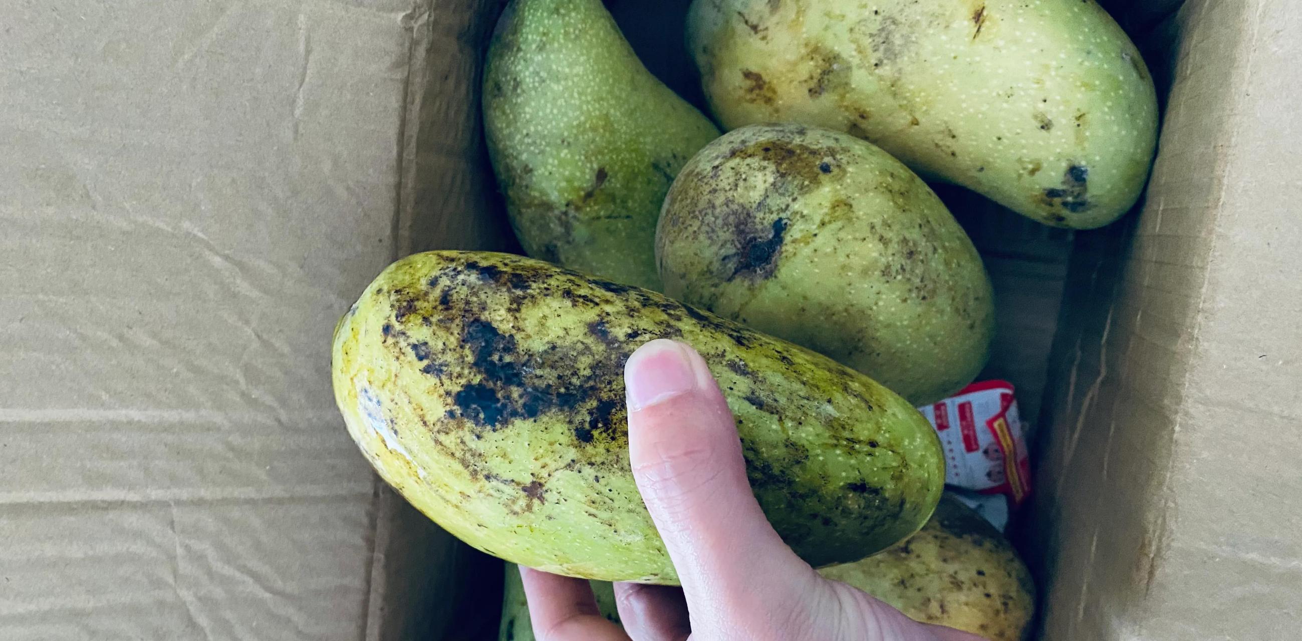 事情是这样的,我想吃芒果了,就在多多上搜索一下,选一个销量高的