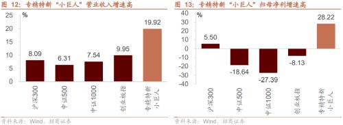 【招商策略】专精特新“小巨人”是什么、怎么样、如何选——中国优势制造投资框架报告之四