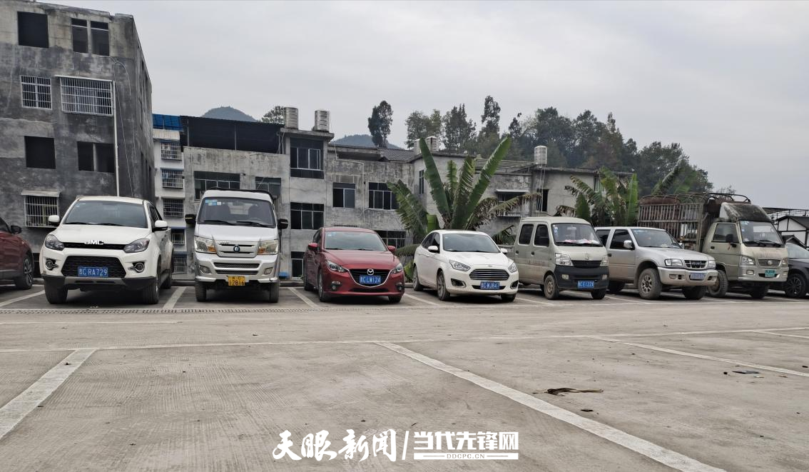 道真自治县桃源乡:开展环境卫生整治 夯实乡村振兴基础