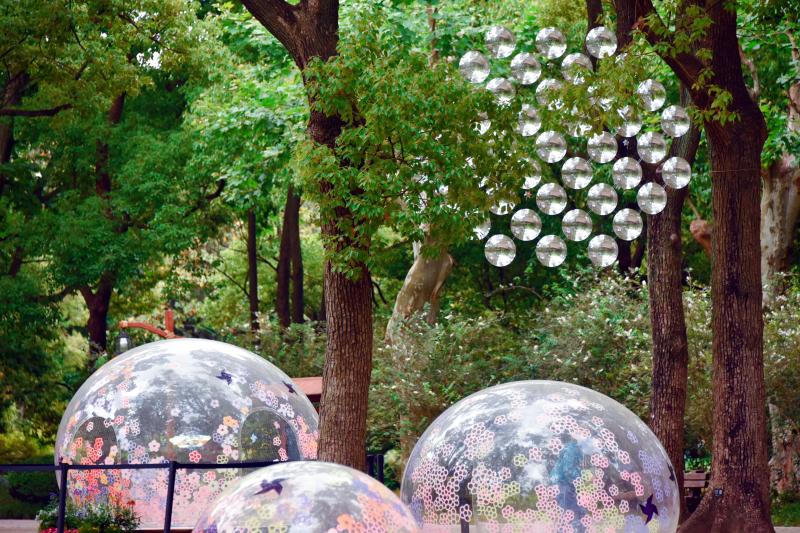 上海有这样一群科普先锋,让公园里的"绿"变得有趣又有料